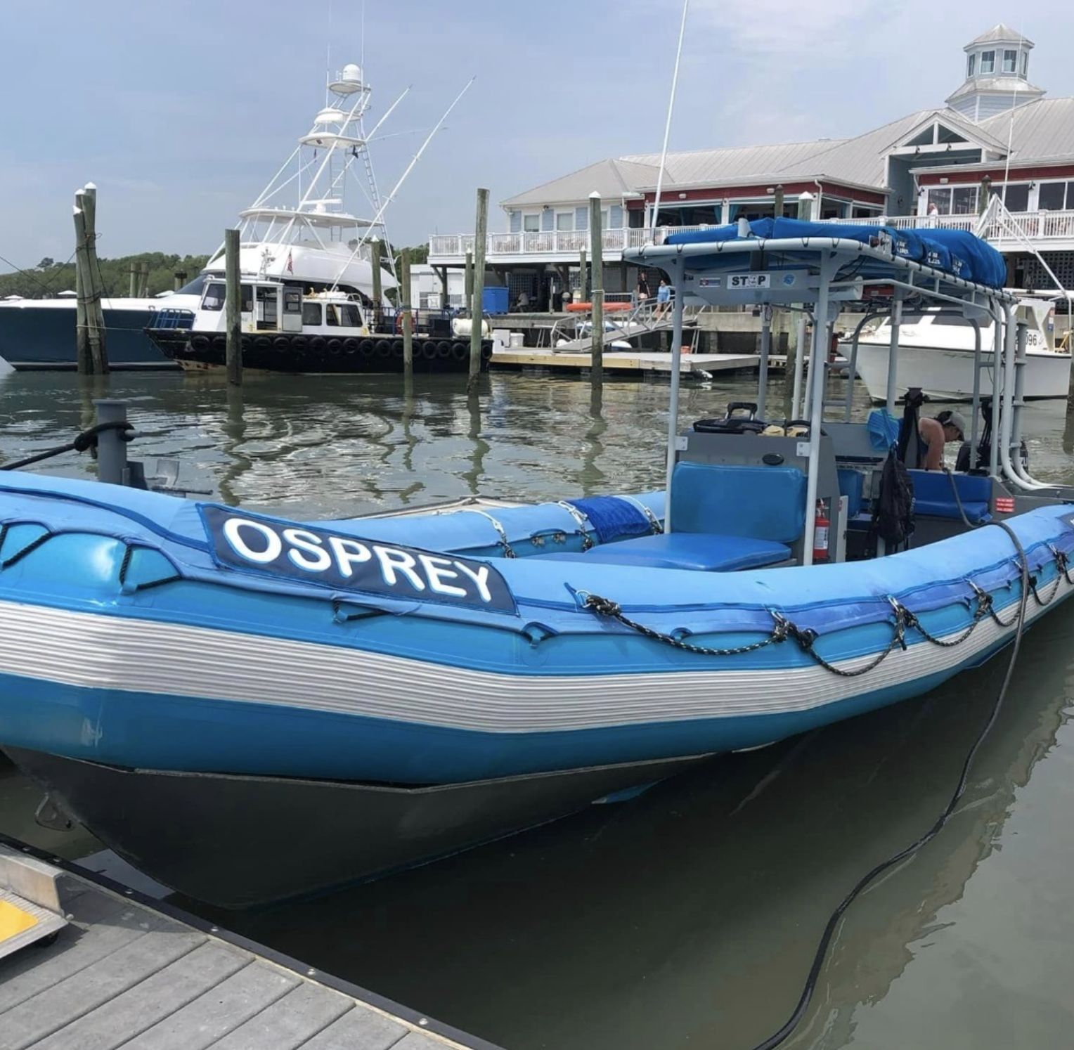 dolphin tours in murrells inlet